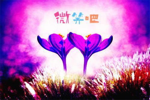 不落皇位知乎(蒋芙江彻蒋柔)全文免费阅读无弹窗大结局(不落皇位小说免费阅读全文大结局)最新章节列表笔趣阁（蒋芙江彻蒋柔）