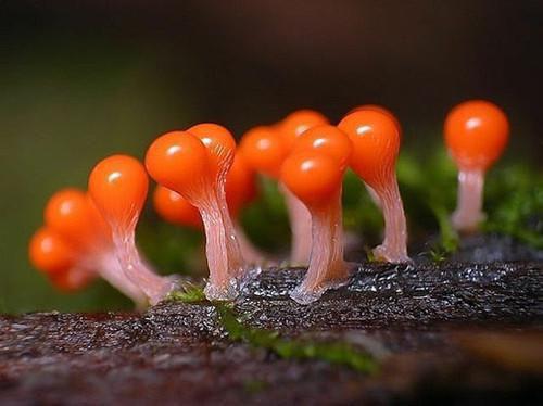 小说贾老爷子贾正阳第3章完整版阅读