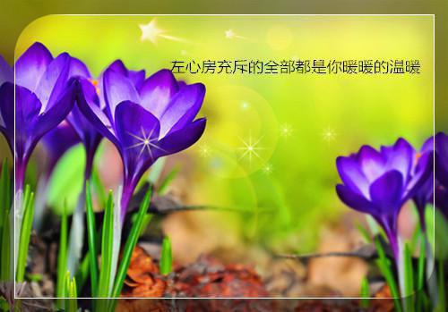 不见忧怜宁琪陆昂芝芝（宁琪陆昂芝芝）全文免费阅读无弹窗大结局_(宁琪陆昂芝芝)不见忧怜宁琪陆昂芝芝最新章节列表_笔趣阁（不见忧怜宁琪陆昂芝芝）