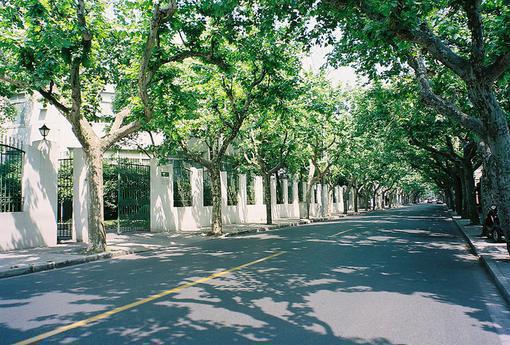 在前夫心上撩火(杜若周寺野)全文免费阅读_在前夫心上撩火最新章节阅读