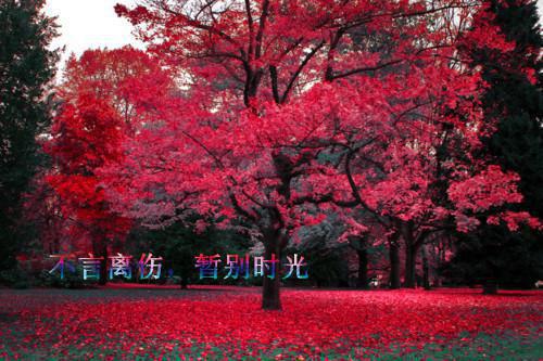 沐暖舟萧湛免费小说在线阅读_沐暖舟萧湛热门小说大结局阅读