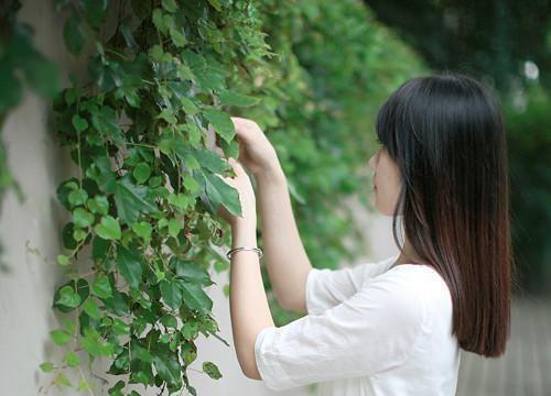 离婚后，掌掴丈母娘，脚踹小舅子免费章节抢先阅读