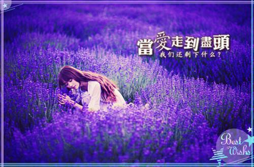 (番外)+(结局)都离婚了，你还纠缠什么：结局+番外（封庭深容辞）全文免费阅读无弹窗大结局_(都离婚了，你还纠缠什么：结局+番外)最新章节列表_笔趣阁（封庭深容辞）