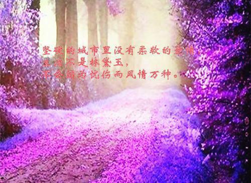 宁愿不见（宁琪陆昂芝芝）全文免费阅读无弹窗大结局_（宁愿不见）免费阅读无弹窗最新章节列表_笔趣阁（宁琪陆昂芝芝）