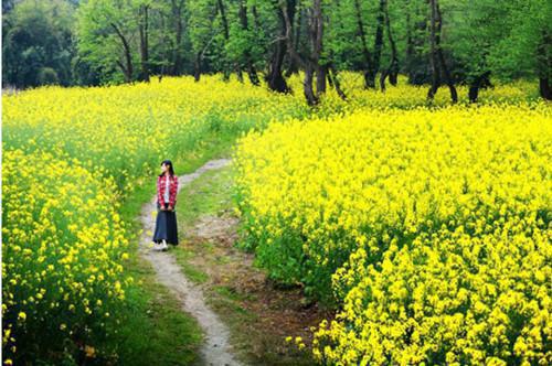 九十九位师傅叶北辰周若妤（九十九位师傅叶北辰周若妤）全文免费阅读无弹窗大结局_九十九位师傅叶北辰周若妤全文免费阅读（九十九位师傅叶北辰周若妤）最新章节列表笔趣阁（九十九位师傅叶北辰周若妤）