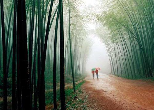 封洛晨江雨棠小说（封洛晨江雨棠）全文免费阅读无弹窗大结局_(封洛晨江雨棠小说)封洛晨江雨棠小说最新章节列表_笔趣阁（封洛晨江雨棠）