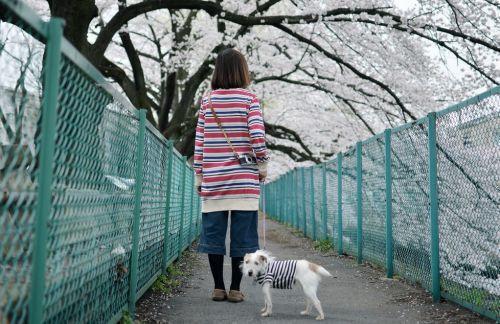 顾清澜 傅临渊(顾清澜 傅临渊)全文免费阅读无弹窗大结局_(顾清澜 傅临渊免费阅读全文大结局)最新章节列表_笔趣阁（顾清澜 傅临渊）