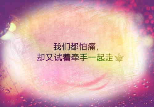 唐芷翟枭畅销书籍（翟枭唐芷）完结版小说免费阅读_唐芷翟枭大结局全章节阅读（翟枭唐芷）