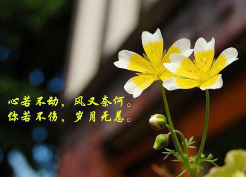 花火无期（沈星遥贺辰逸）全文免费阅读无弹窗大结局_花火无期最新章节列表_笔趣阁（沈星遥贺辰逸）