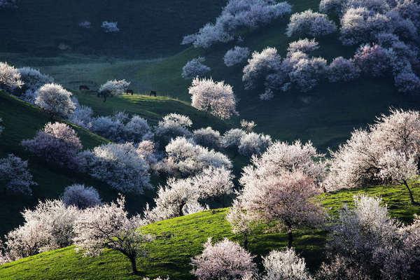 百岁光阴一梦蝶（花月容霍朝渊秦绪七年）全文免费阅读无弹窗大结局_百岁光阴一梦蝶最新章节列表_笔趣阁（花月容霍朝渊）